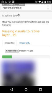 Processing Retina Layer